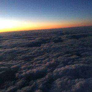 Meet your Posher, Lizzie